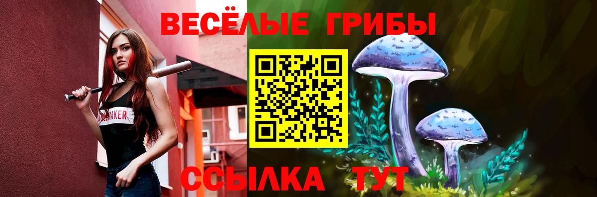 Галлюциногенные грибы Psilocybine cubensis Лениногорск